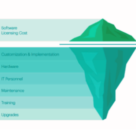 Read more about the article The Real Cost of Owning a SaaS Solution: Navigating the Hidden Challenges